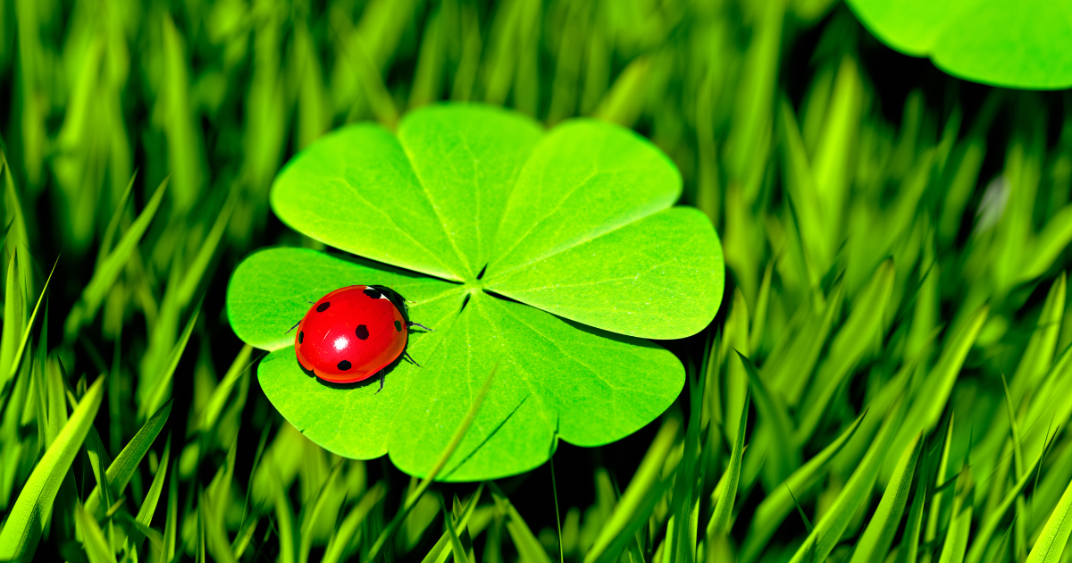 5 Practices You Can Do To Bring Good Luck 